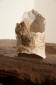 series works of the Lucania area ⼆o一四 樹系列-糊